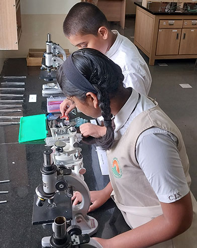 Top School in Maharshi Nagar